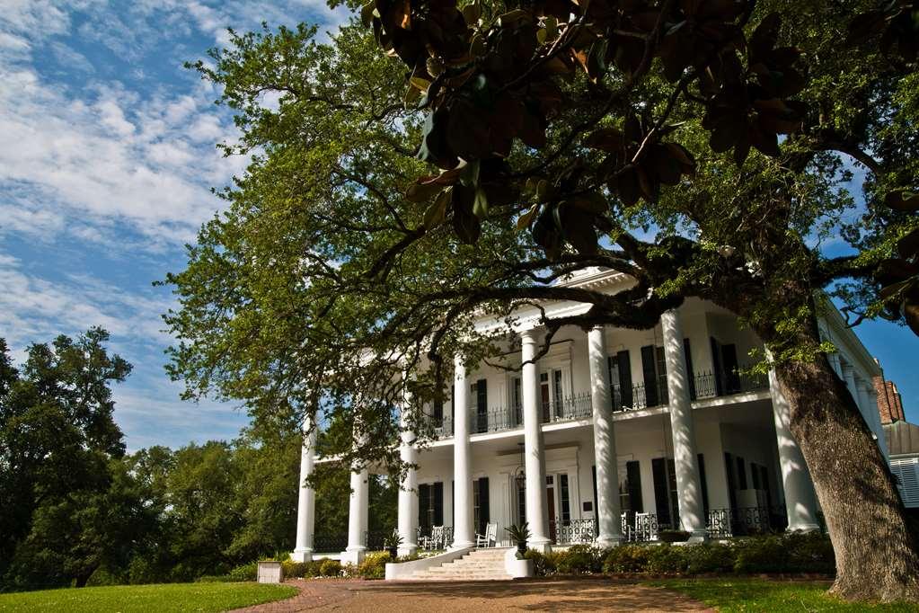 Dunleith Historic Inn Natchez Kültér fotó