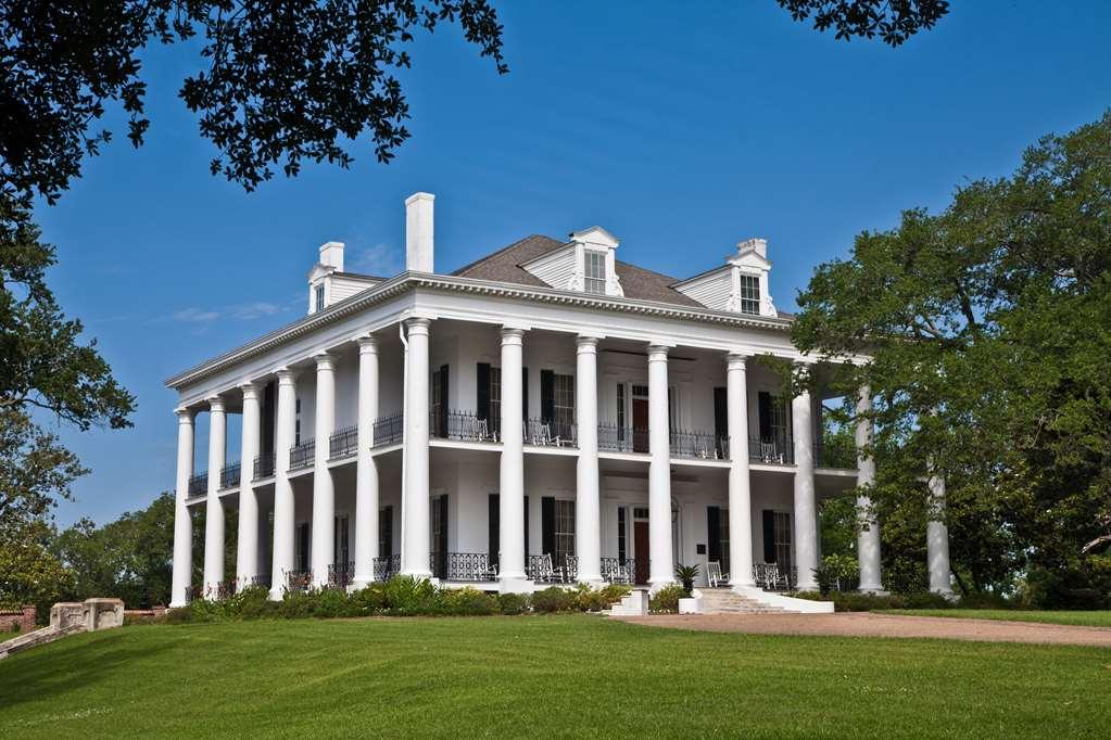 Dunleith Historic Inn Natchez Kültér fotó